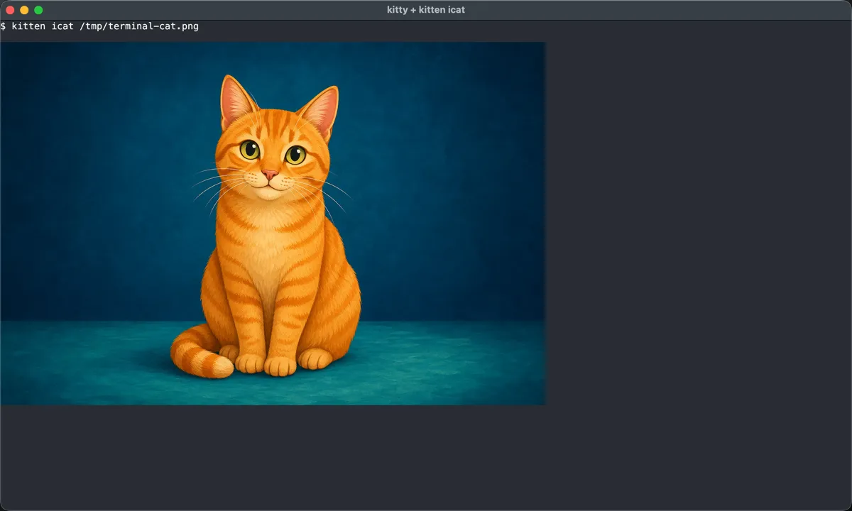 Kitty terminal running kitty plus kitten icat to render an orange cat image inline with the terminal graphics protocol.